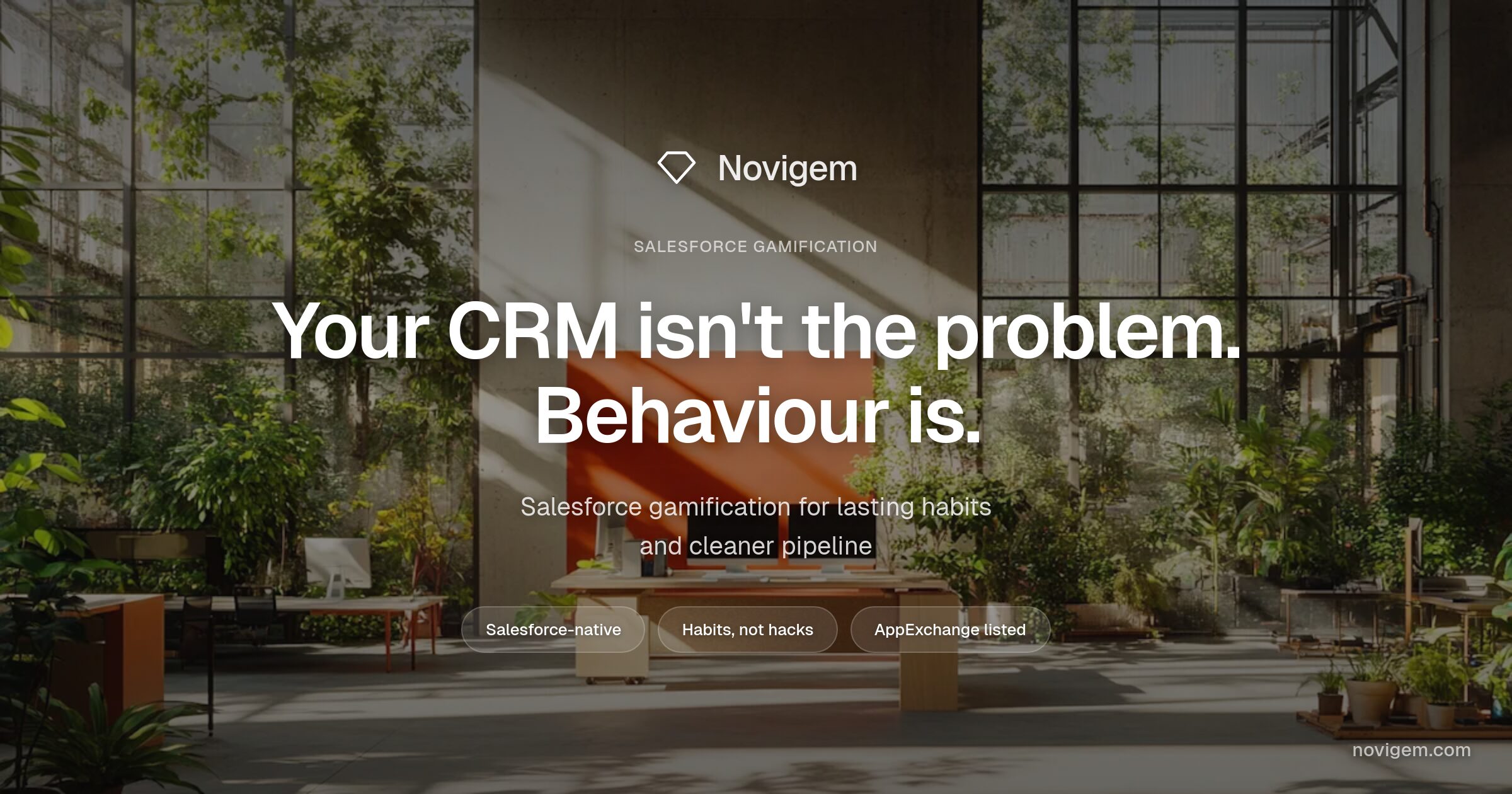 Novigem screenshot 1 of 1